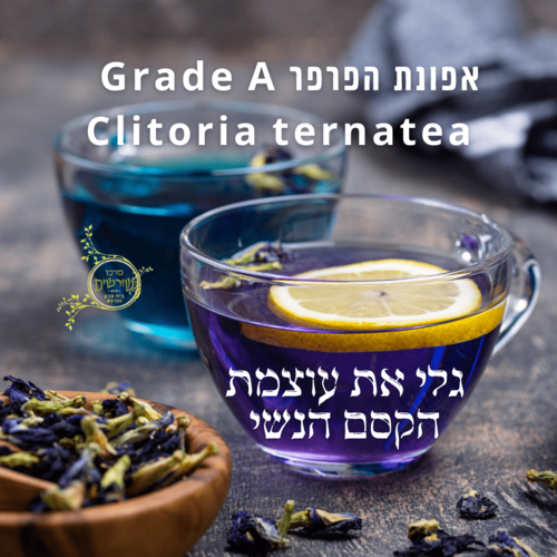 אפונת הפרפר Grade A באיכות מעולה! משקל 20 גרם | Clitoria ternatea