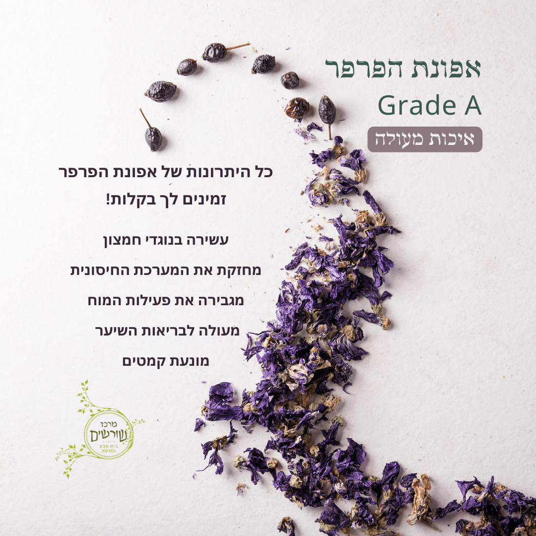 אפונת הפרפר Grade A באיכות מעולה! משקל 20 גרם | Clitoria ternatea
