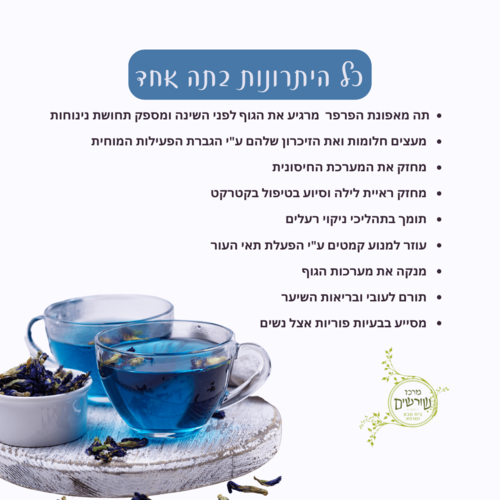 אפונת הפרפר Grade A באיכות מעולה! משקל 20 גרם | Clitoria ternatea