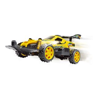 רכב מירוץ שטח על שלט - Flash Buggy