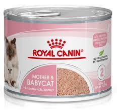 רויאל קנין Royal canin שימור לחתול-אמא וגור בייבי קט 195 גרם