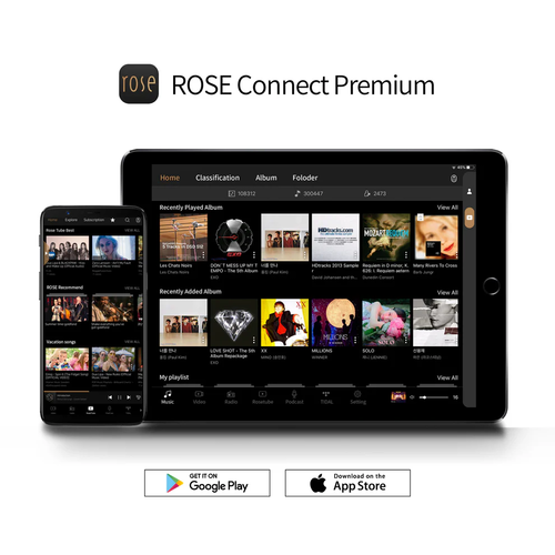HiFi ROSE - RS250A Wireless Network Streamer