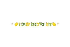 שרשרת תלייה