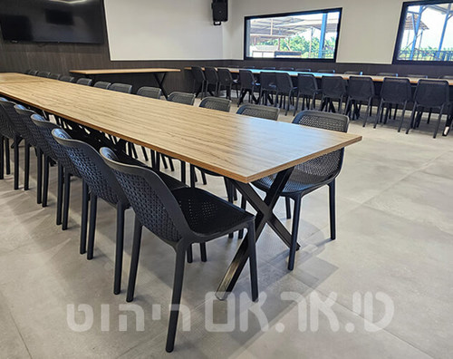 כסאות דגם פרדייז