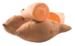 בטטה אורגנית 1 קילו