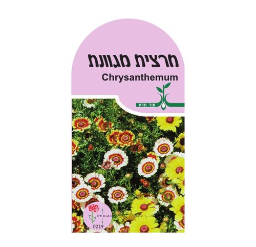 זרעי פרחים חרצית מגוונת איכותיים לגידול בגינה ומרפסת, מציעים פריחה צבעונית ועשירה עם קלות גידול גבוהה למתחילים ומנוסים