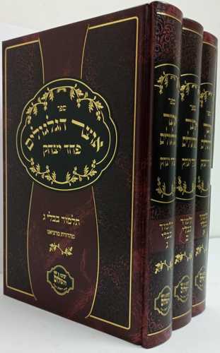 אוצר הגלגולים ג