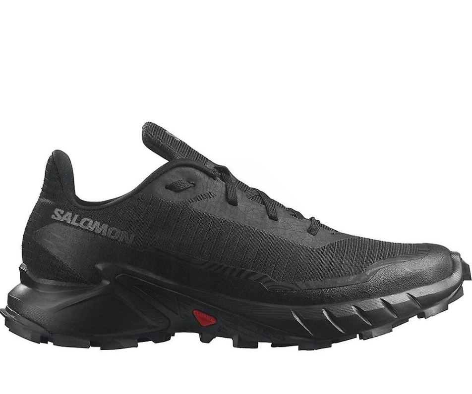 נעלי סלומון Salomon Alphacross 5 | גברים