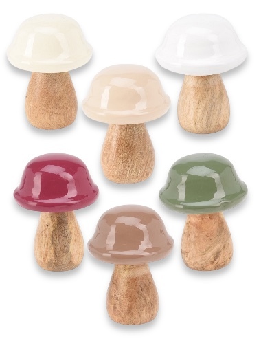 פטריית עץ קטנה 