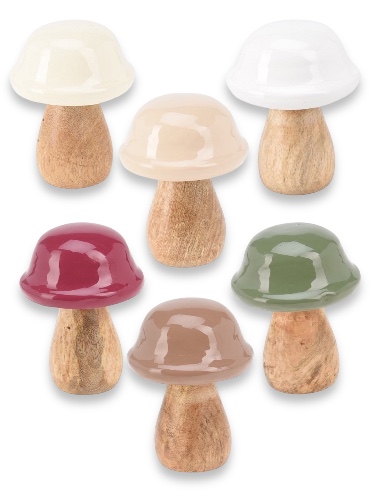 פטריית עץ קטנה 