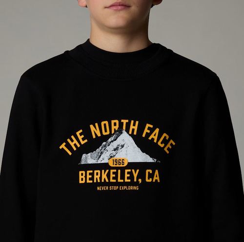 פוטר דה נורת' פייס The North Face Varsity Graphic Relaxed Crew | ילדים