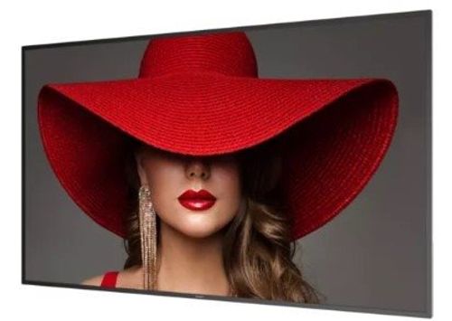 מסך מקצועי 50