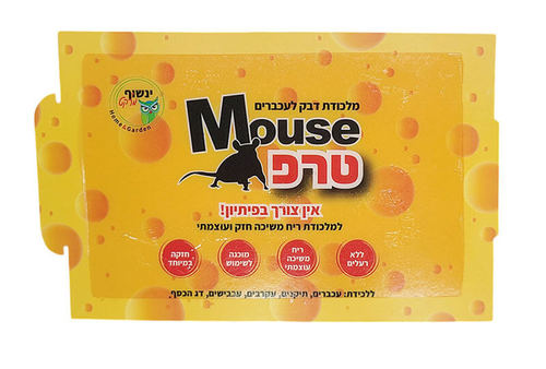 מאוס טרפ - מלכודת דבק לעכברים עם ריח משיכה - יחידה אחת