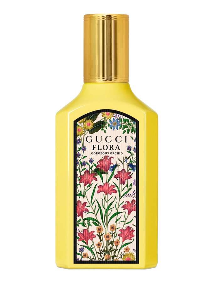 Flora Gorgeous Orchid