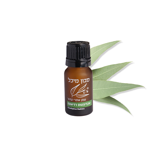 שמן אתרי אקליפטוס רדיאטה - 10ml
