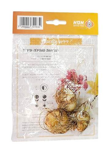 מארז 3 פקעות ליליום - תערובת