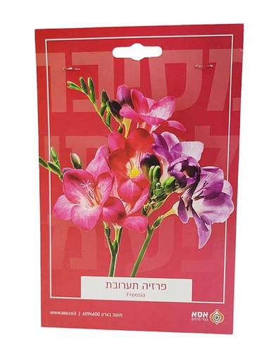 מארז 10 פקעות פרזיה - תערובת