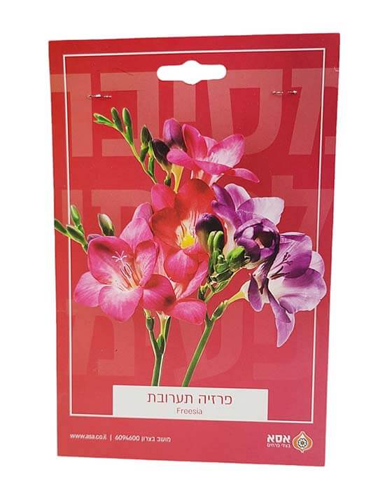 מארז 10 פקעות פרזיה - תערובת