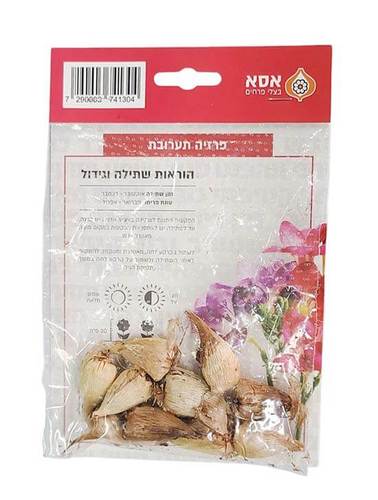 מארז 10 פקעות פרזיה - תערובת