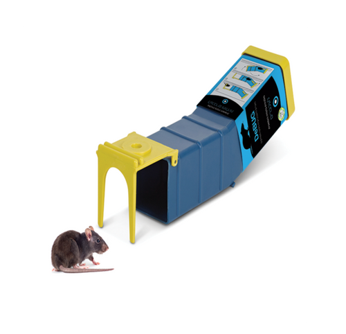 מלכודת נדנדה הומנית למכרסמים