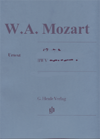 Violin Concerto e minor op. 64