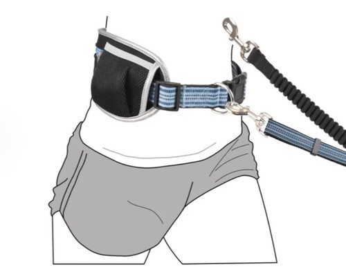רצועת  הולכה, טיול וריצה עם הכלב פלמינגו