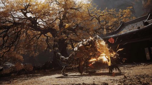 Black Myth: Wukong - PS5    