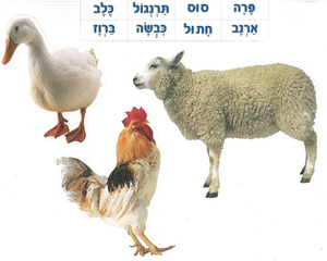 ערכת המחשה חיות בית ומשק ללימוד בריאת העולם לילדים