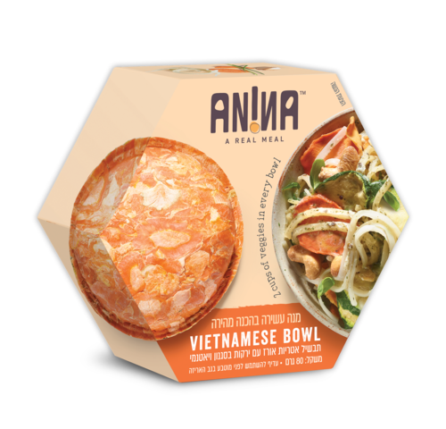  תבשיל אטריות אורז עם ירקות בסגנון ויאטנמי- ANINA