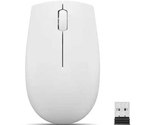 LENOVO 300 WIRELESS COMPACT MOUSE CLOUD GREY 1Y