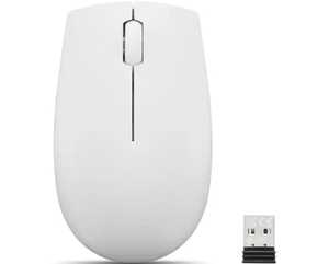 LENOVO 300 WIRELESS COMPACT MOUSE CLOUD GREY 1Y