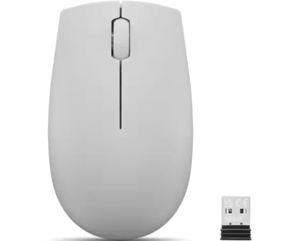 LENOVO 300 WIRELESS COMPACT MOUSE ARCTIC GREY 1Y