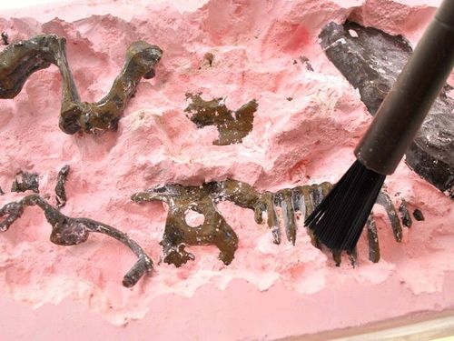 ערכת ארכיאולוגיה טי-רקס למציאת שלדי דינוזאורים