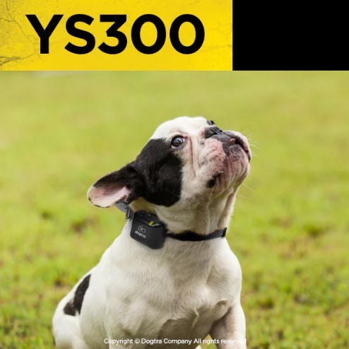דוגטרה קולר נביחות YS300 לכלבים קטנים