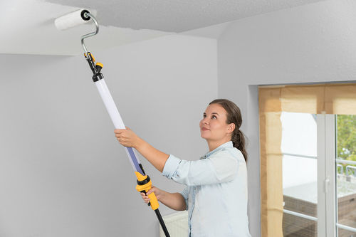 רולר לצביעה ידנית עם בוכנת צבע WAGNER HandiRoll 550 \ WAGNER EasyRoll