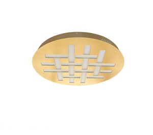 פלפון זהב 50 LED 40W