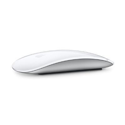 Magic Mouse Multi-Touch
