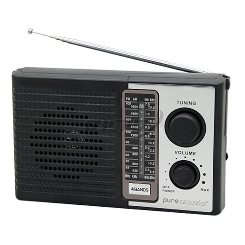 Pure Acoustics רדיו נייד FM/AM עם סוללה נטענת RD30