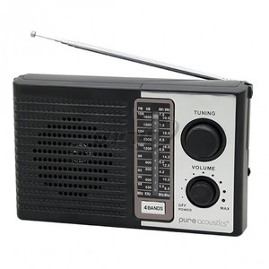 Pure Acoustics רדיו נייד FM/AM עם סוללה נטענת RD30