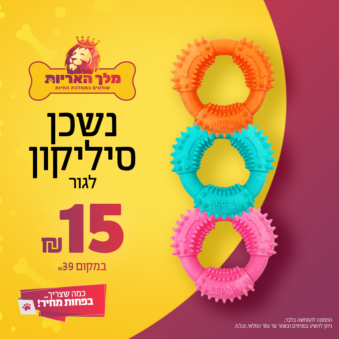 נשכן סיליקון לגור כלבים במחיר מדהים