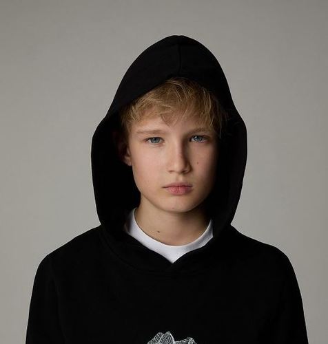 קפוצ'ון דה נורת' פייס The North Face Topographic hoodie | ילדים