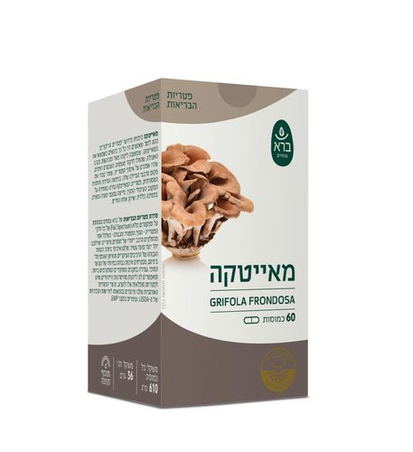 Grifola frondosa | מאייטקה | CAP 60 | סדרת פטריות
