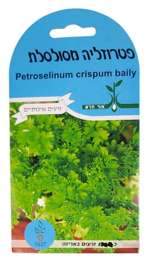 זרעי פטרוזיליה מסולסלת