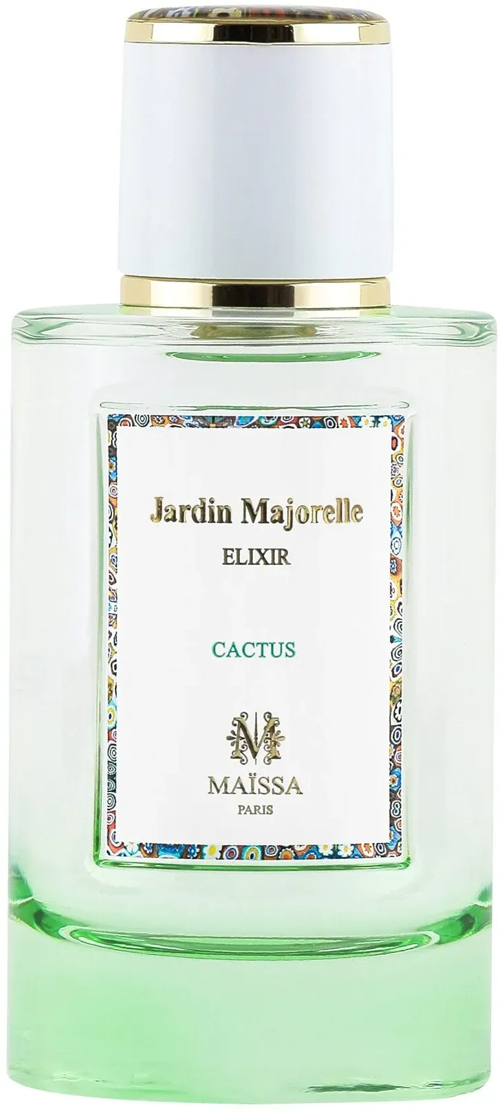 Maissa Jardin Majorelle Cactus