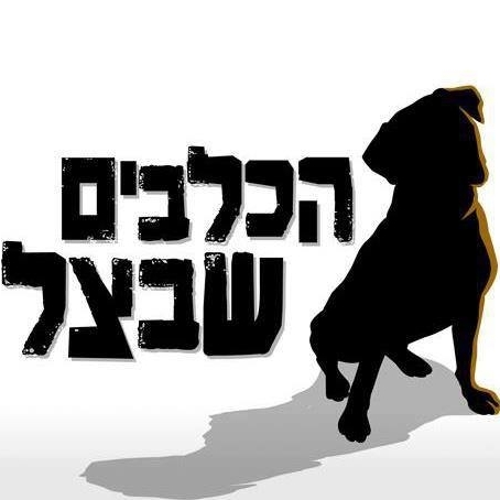 תרומה לכלבים שבצל 