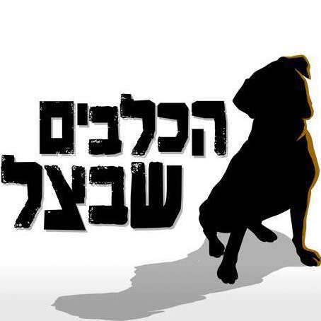 תרומה לכלבים שבצל 