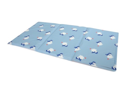 מזרון קירור אקסטרה 65*50 ס