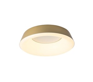 פלפון זהב LED 50W