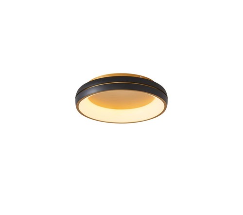 פלפון שחור+פליז 40 LED 42W