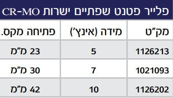 פלייר פטנט